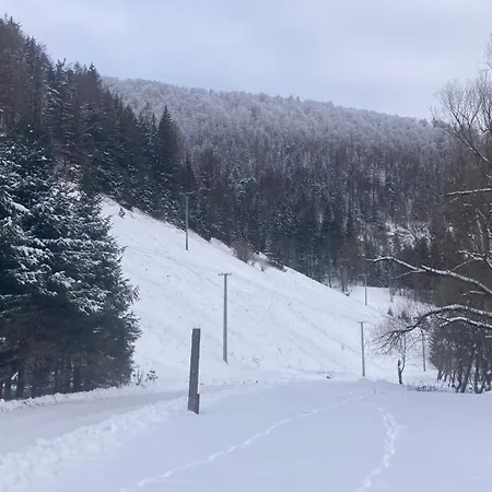 게스트하우스 Borovica *