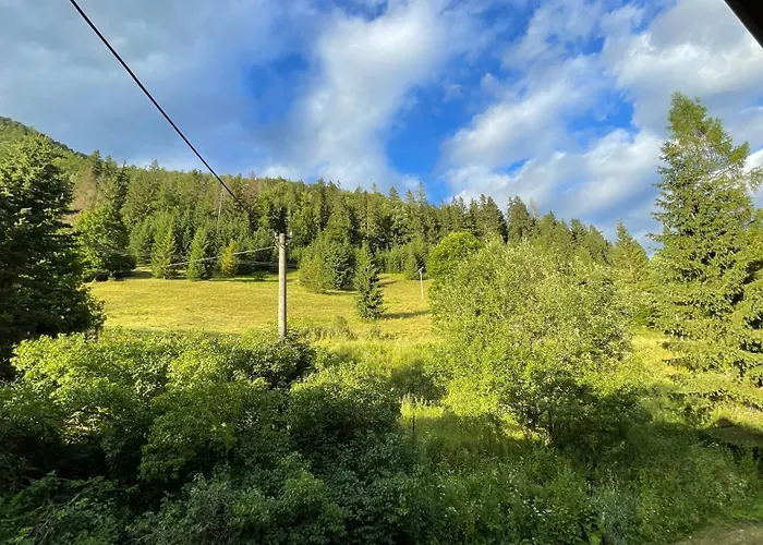 Borovica *