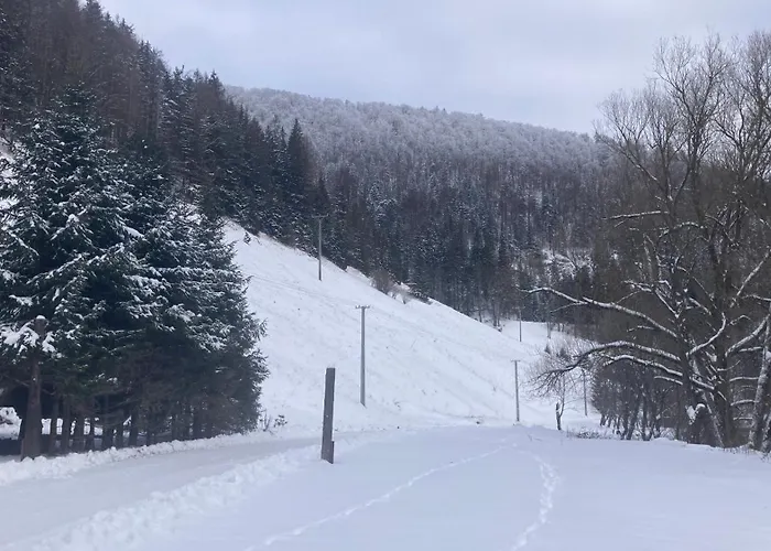 게스트하우스 Borovica *
